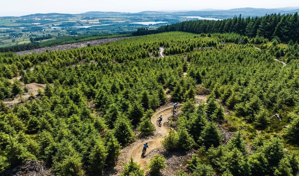 Biking.ie - Ballinastoe Mountain Bike Trail
