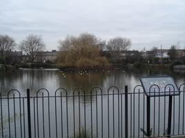 Blessington Street Basin (Dublin's Secret Garden)