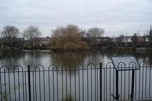 Blessington Street Basin (Dublin's Secret Garden)
