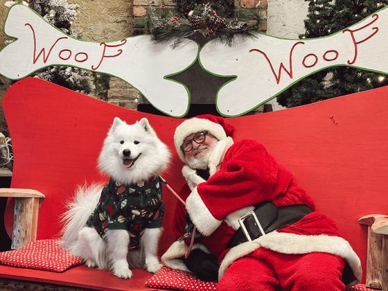 Santa Paws
