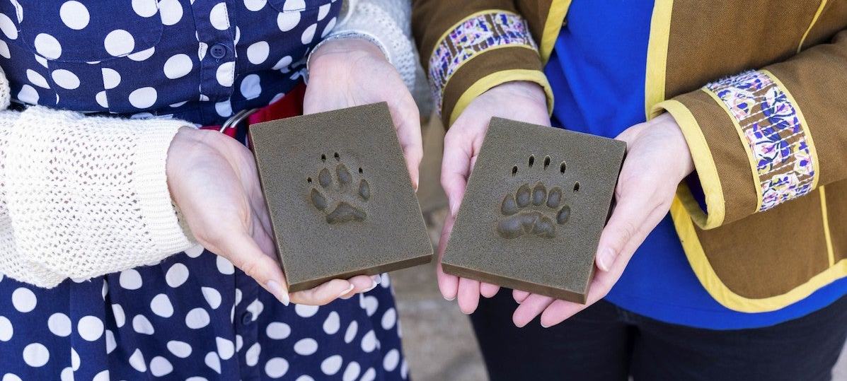 Family Drop-ins at the Dead Zoo Lab
