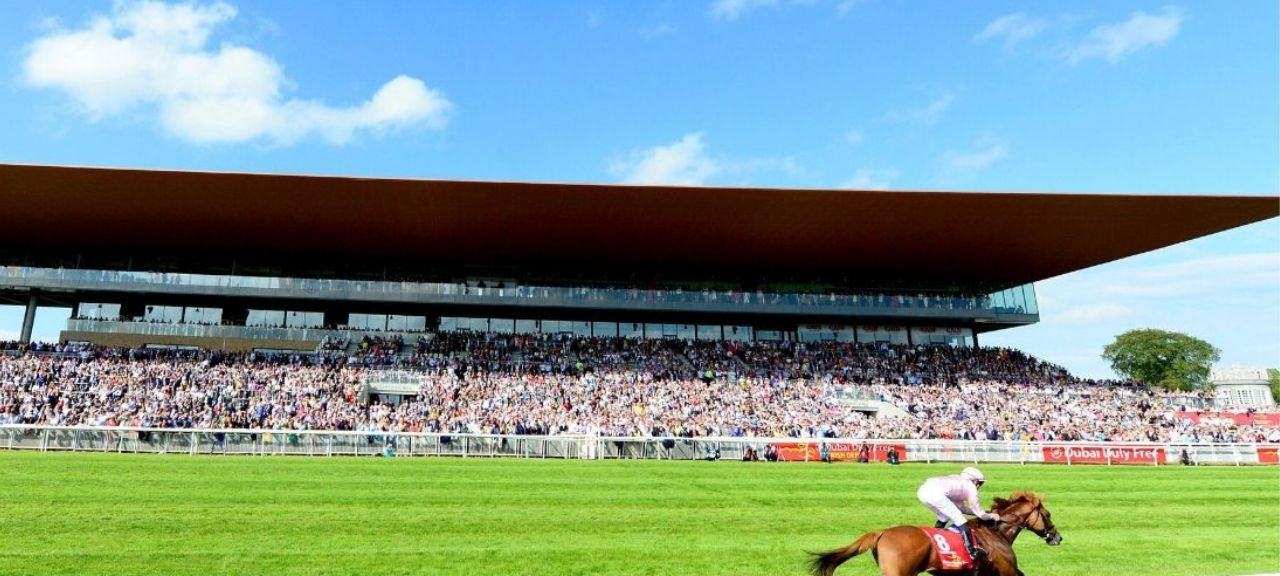The Curragh - Behind the Scenes by Horse Country