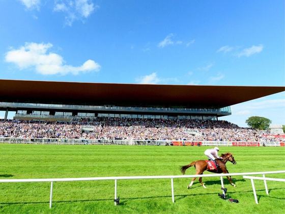 The Curragh - Behind the Scenes by Horse Country