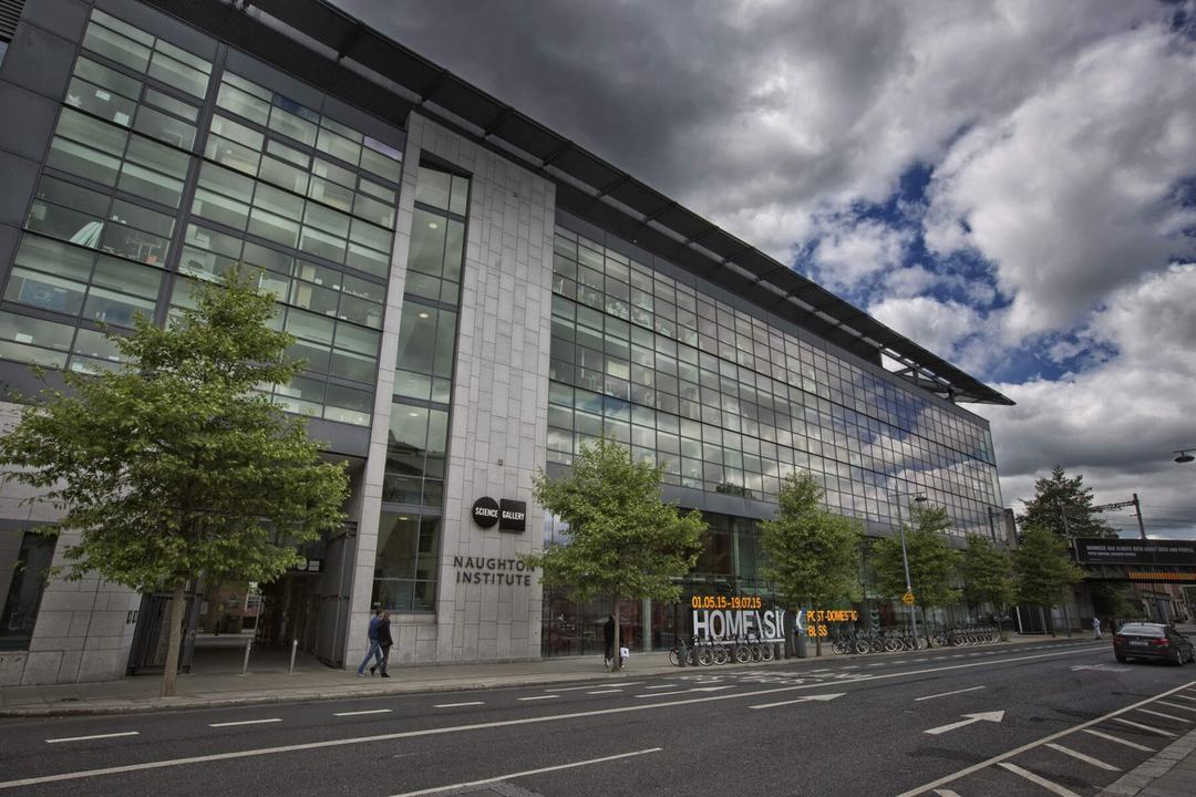 Dalton's Dublin Saunter Tour