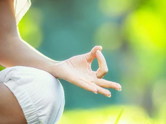 Dublin Mind Body Experience