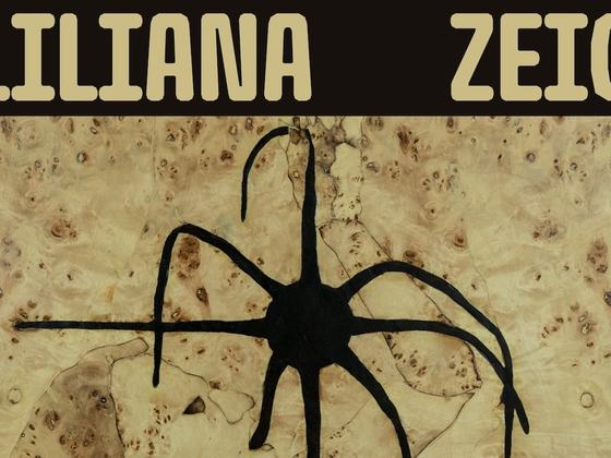 Eating the Sun - Liliana Zeic