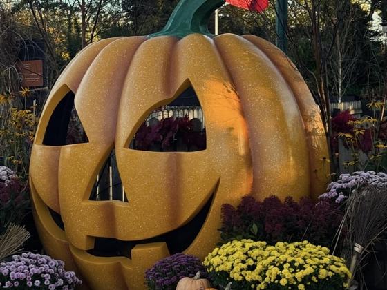 Halloween 2026 at Clonfert Farm