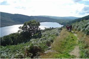 Loughdan House Adventure Tours