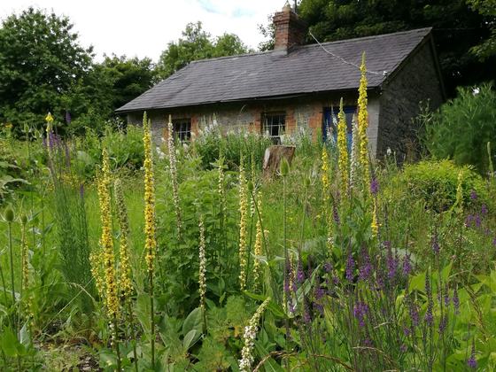 The Herb School