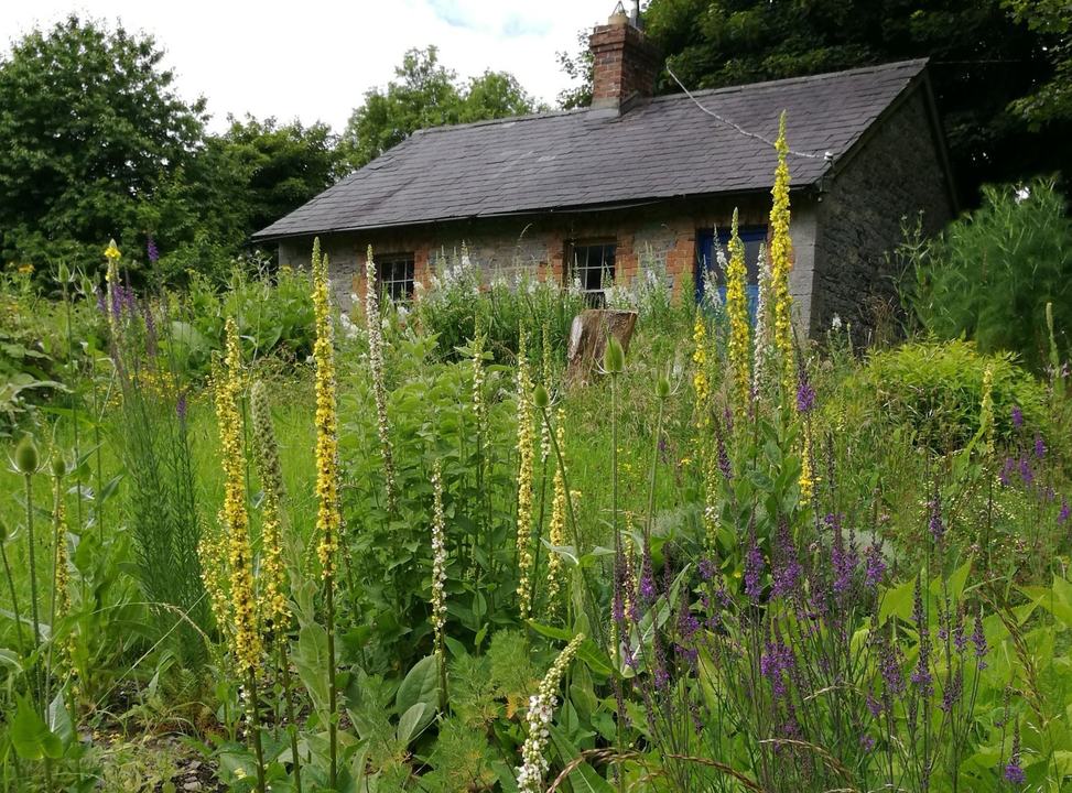 The Herb School