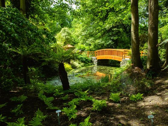 Malahide Gardens - Fairy Trail