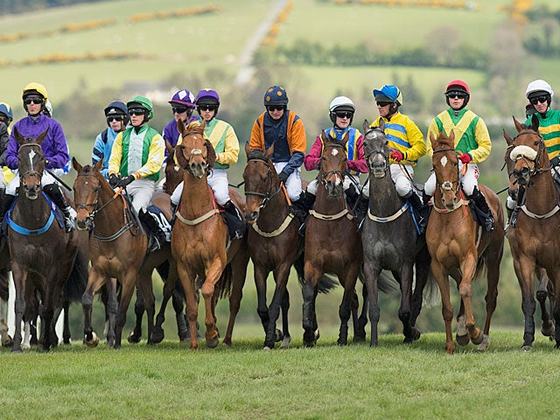 Punchestown Racecourse
