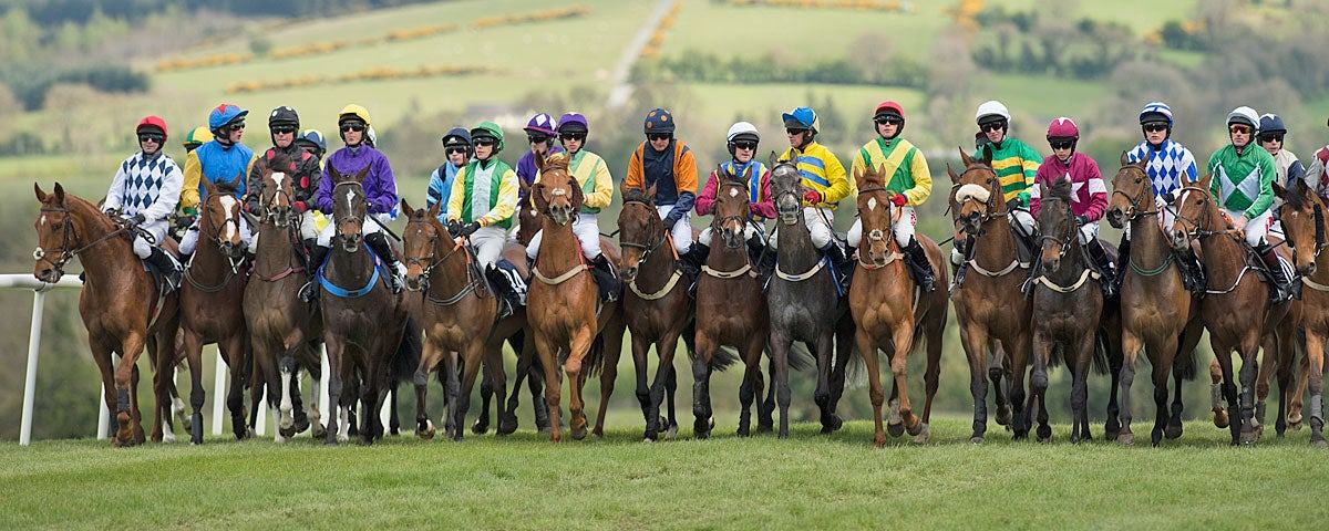 Punchestown Racecourse