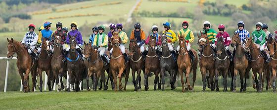 Punchestown Racecourse