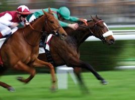 Bellewstown Racecourse