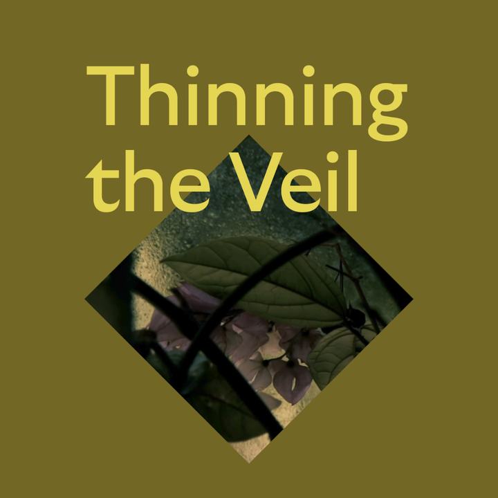 'Thinning the Veil': Art Exhibition