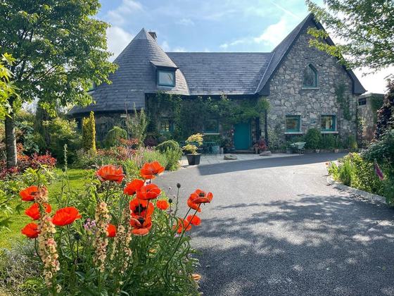 The Poppy Garden