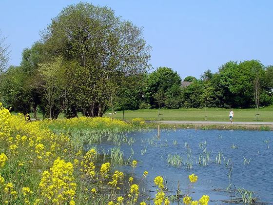 Kilbogget Park