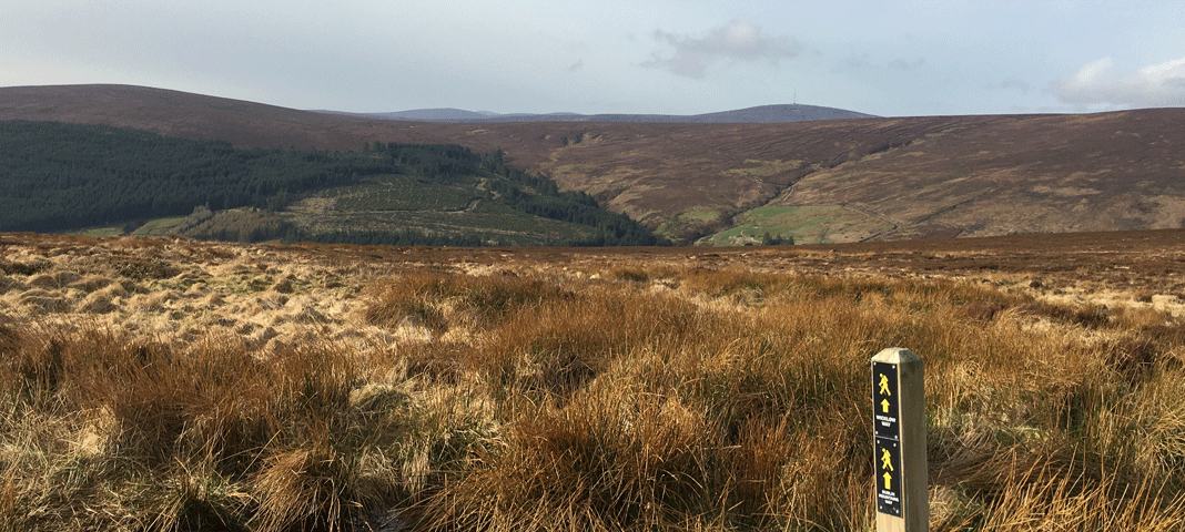 Run Walk Bike Ireland