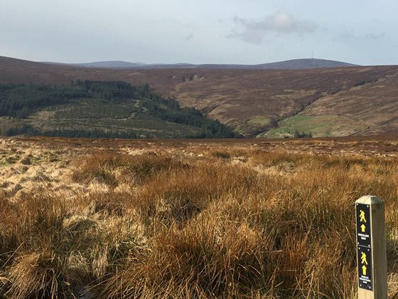 Run Walk Bike Ireland