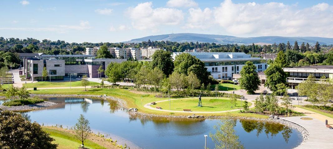UCD