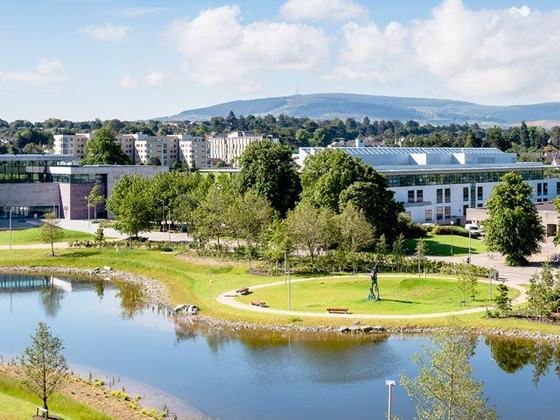 UCD