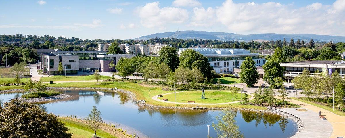 UCD