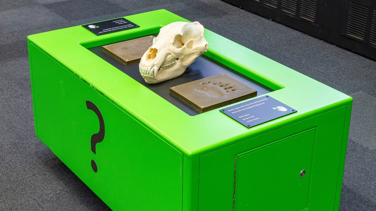 ISL Drop-in event at the Dead Zoo Lab