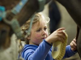 Calliaghstown Equestrian Centre