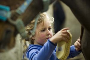 Calliaghstown Equestrian Centre