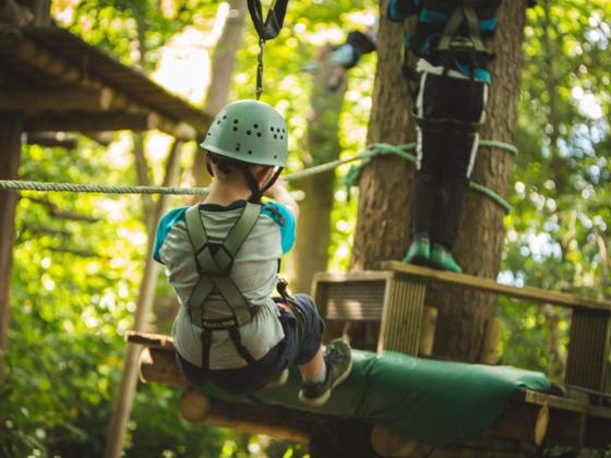 Squirrel's Scramble Tree Adventure Park