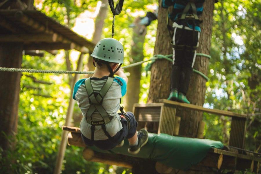 Squirrel's Scramble Tree Adventure Park