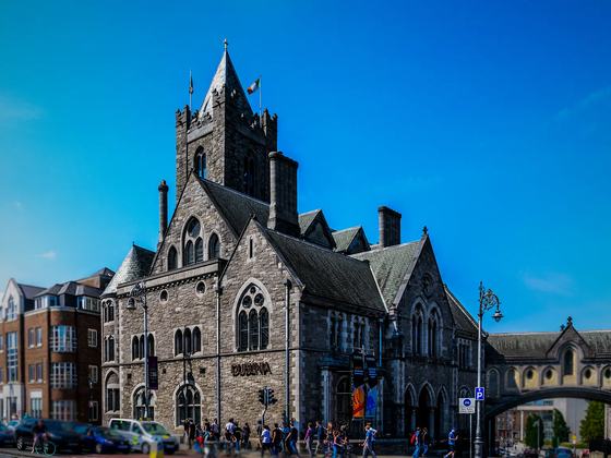 Dublinia