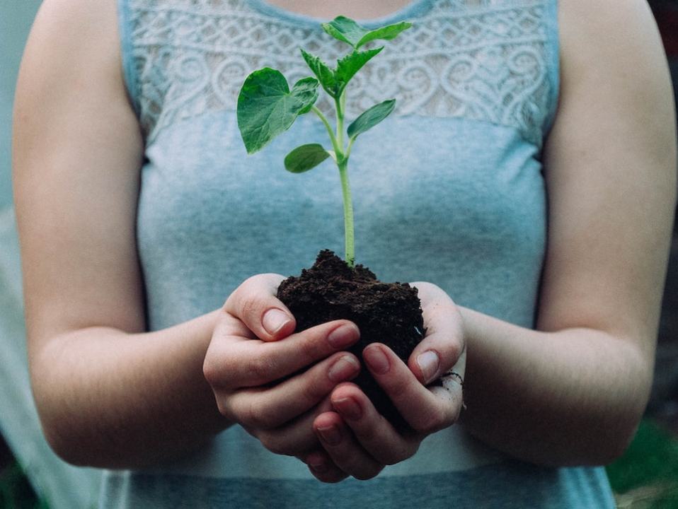 Walkinstown Library Grow It Yourself Group
