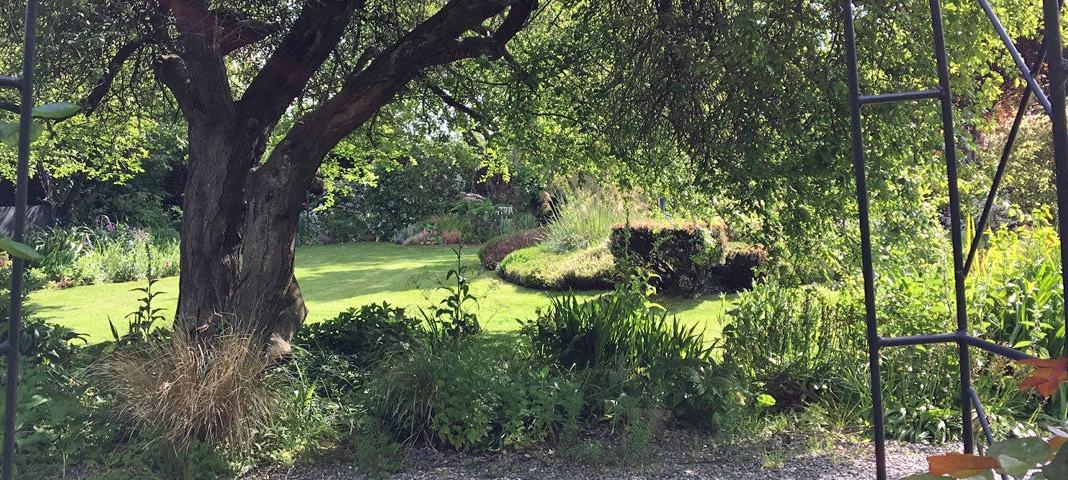 Mornington Garden
