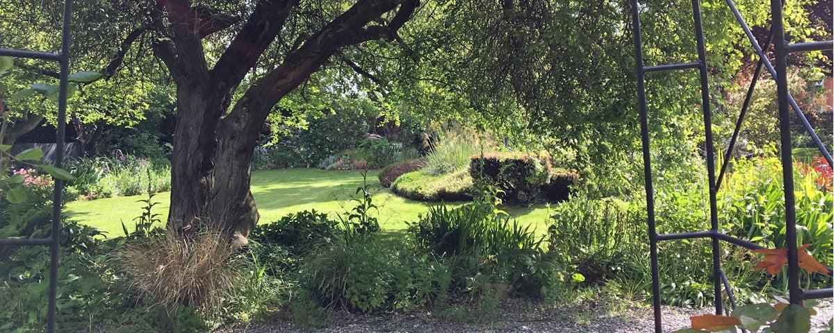 Mornington Garden