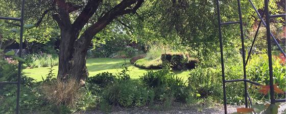 Mornington Garden