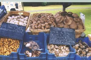 Mespil Road Lunchtime Market