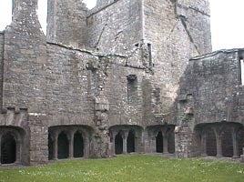 Bective Abbey