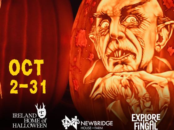 Pumpkins After Dark