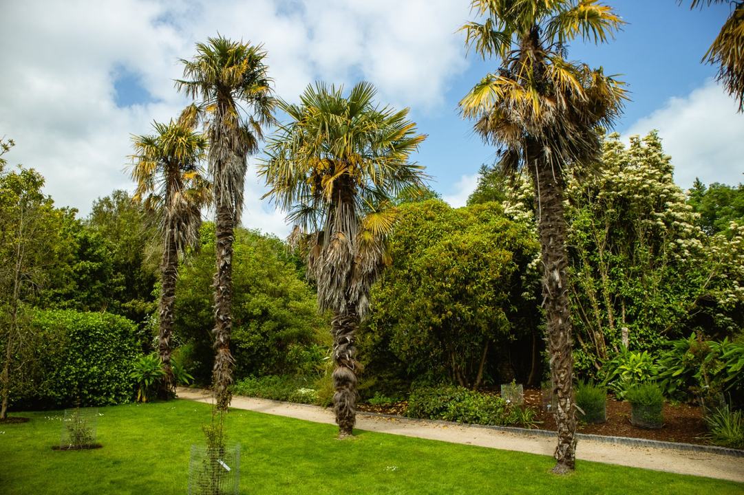 Malahide Gardens - Fairy Trail
