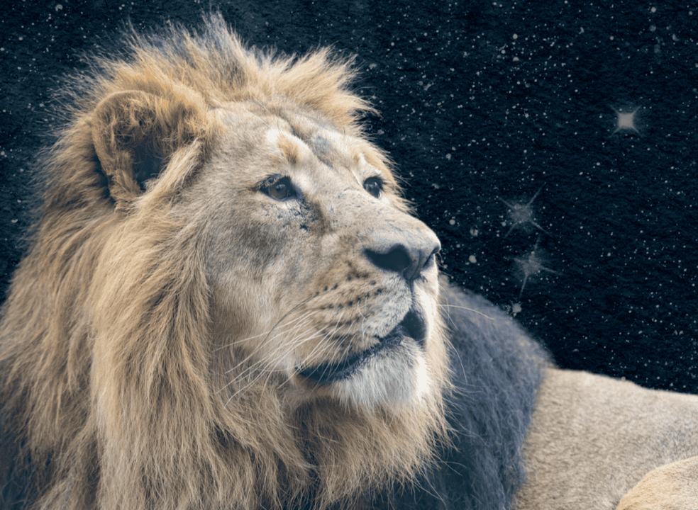 Space Week: AstroZoo