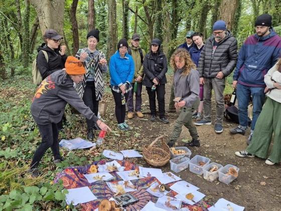 Howth Foraging – World of Fungi