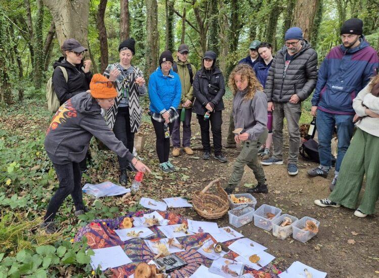 Howth Foraging – World of Fungi