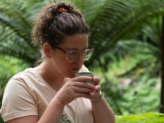 Hibernation Sessions: Forest Bathing Experence