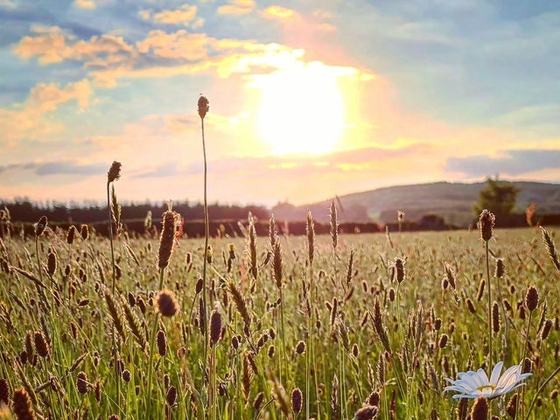 Windrush Farm