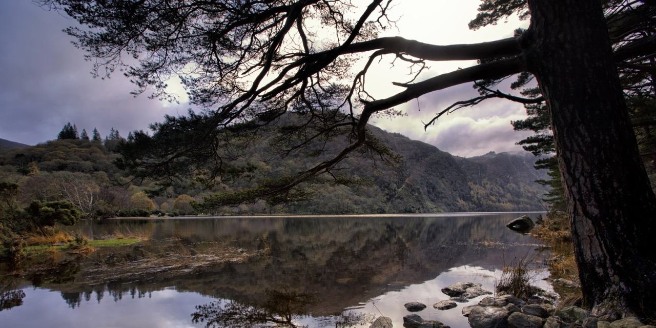 Afternoon Departure! Half Day Tour To Glendalough & Wicklow