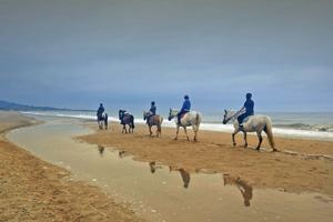 Maltfield Stud Riding School