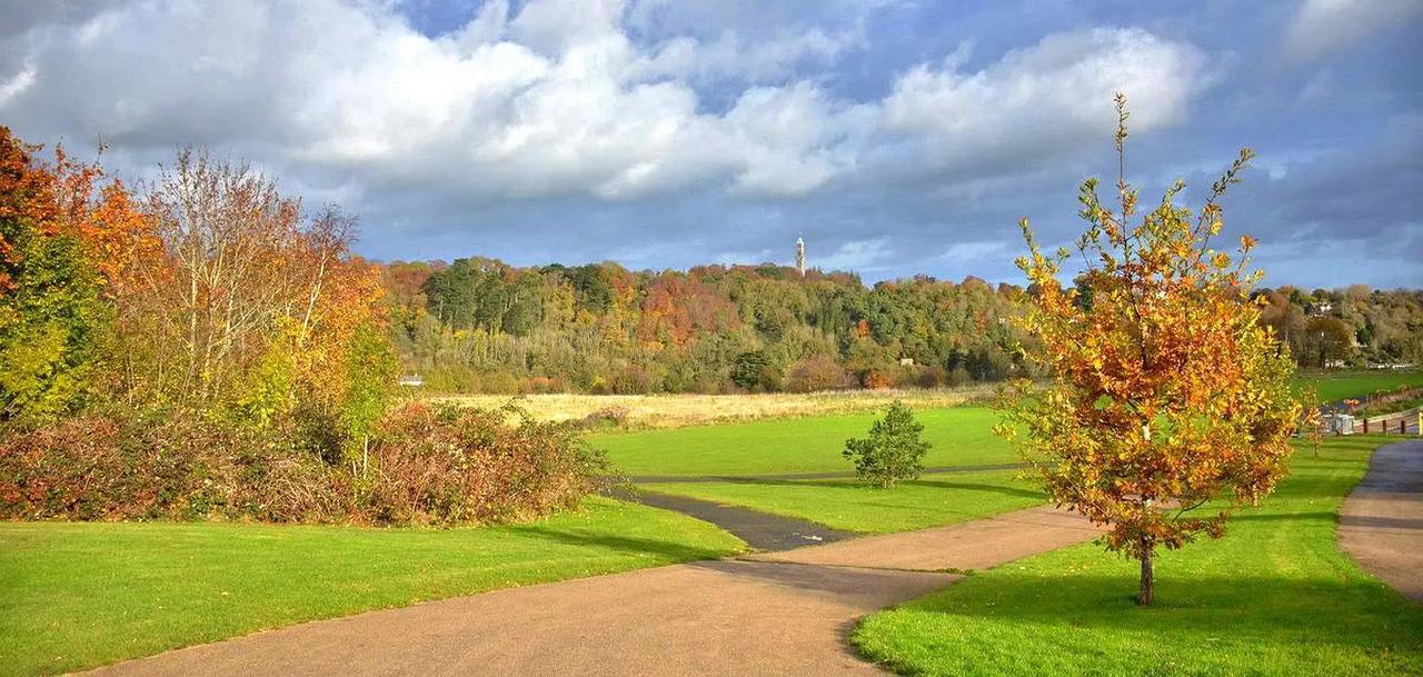 Waterstown Park