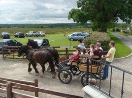 Red Mountain Open Farm